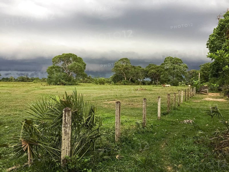 Fenced pasture land with dark clouds in background, Pantanal Wetlands, Mato Grosso, Brazil, South America