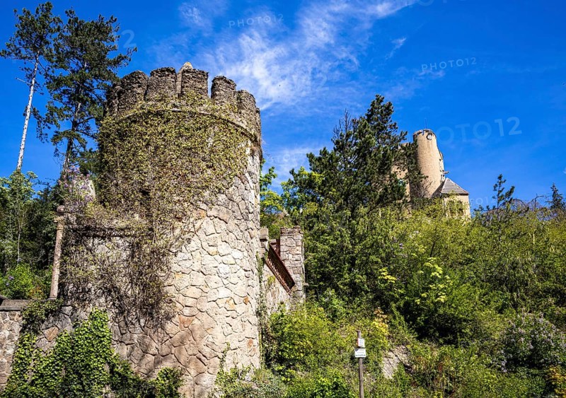 Roseburg Harz near Ballenstedt Rieder