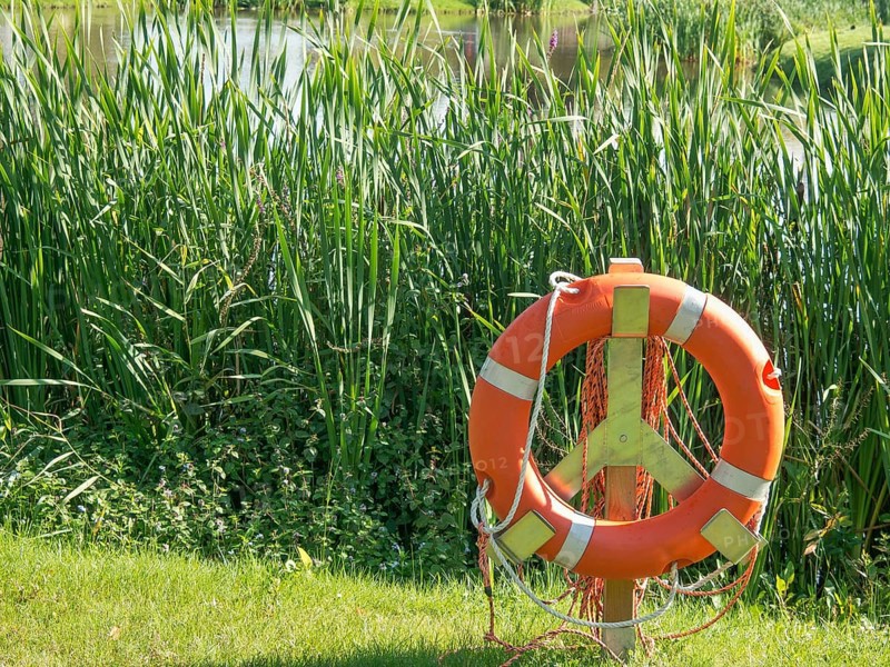 Green natural environment with orange lifebuoy in front of a small pond, papenburg, emsland, germany