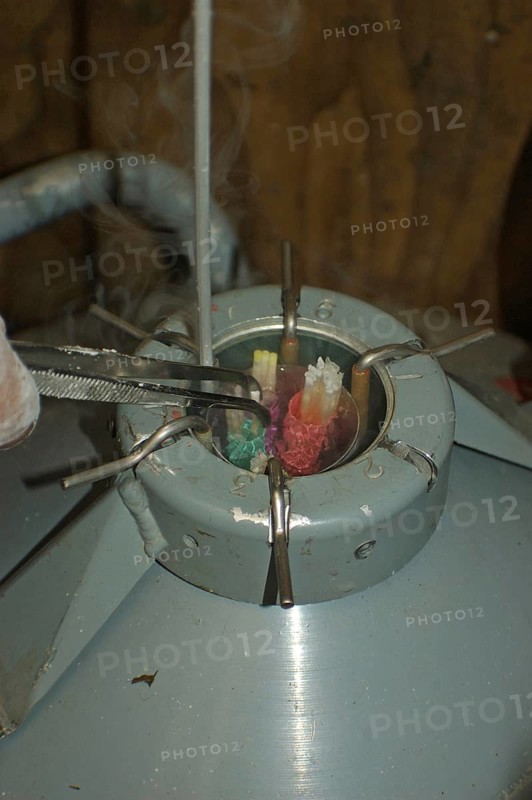 Vet removes semen straws from semen tank for artificial insemination of deer, cattle, sheep, goats etc