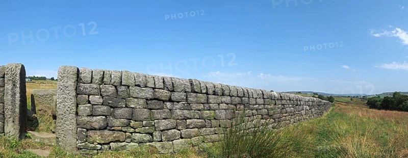 A long perspective view of a stone wall with gate between grass covered summer fields with blue sky in west yorkshire countryside