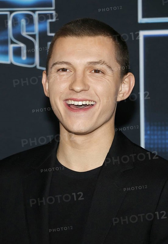 Tom Holland at the Los Angeles premiere of 'Spies In Disguise' held at the El Capitan Theatre in Hollywood, USA on December 4, 2019