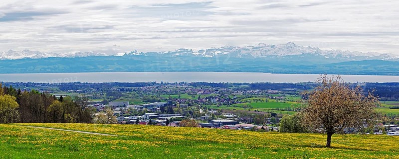 Spring meadow on Lake Constance with a view of the Alps in foehn weather, taken on the Gehrenberg near Markdorf