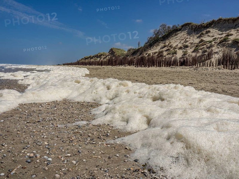 Foamy tide along a calm stretch of coastline with dazzling white sand and overgrown dunes, spiekeroog, east friesland, north sea, germany