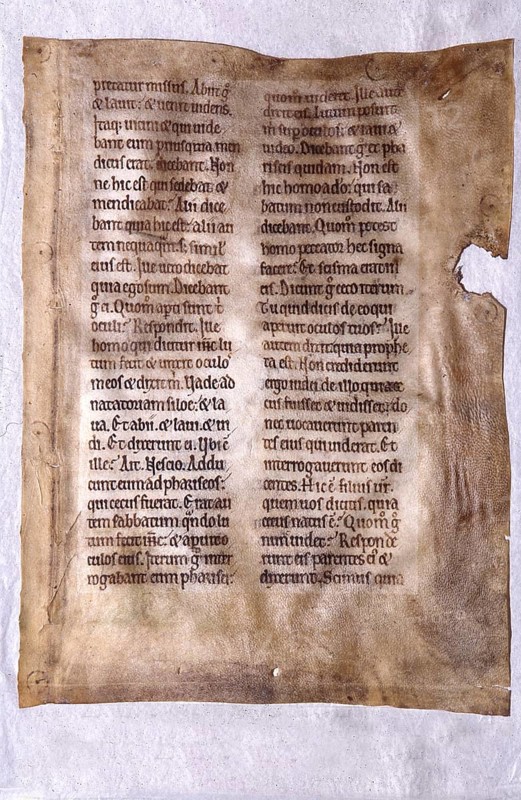 Biblical text in Latin written on vellum, 12th Century, England. Courtesy of the Reed Collection at Dunedin Public Library, New Zealand, Oceania