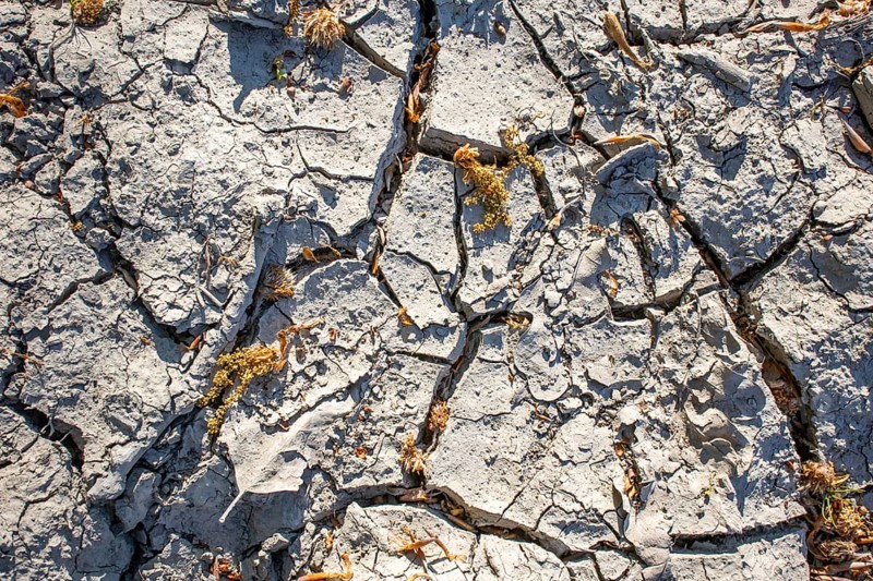 Dried out soil Lack of rain