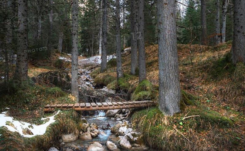 Picturesque landscape with a small alpine river and a rustic wooden bridge, in the forests of Alps mountains, in Ehrwald, Austria, in early winter, Europe