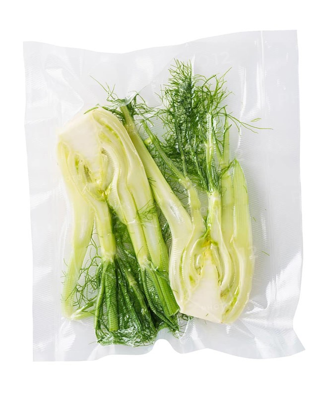 Vacuum sealed fresh fennel for sous vide cooking cutout on white