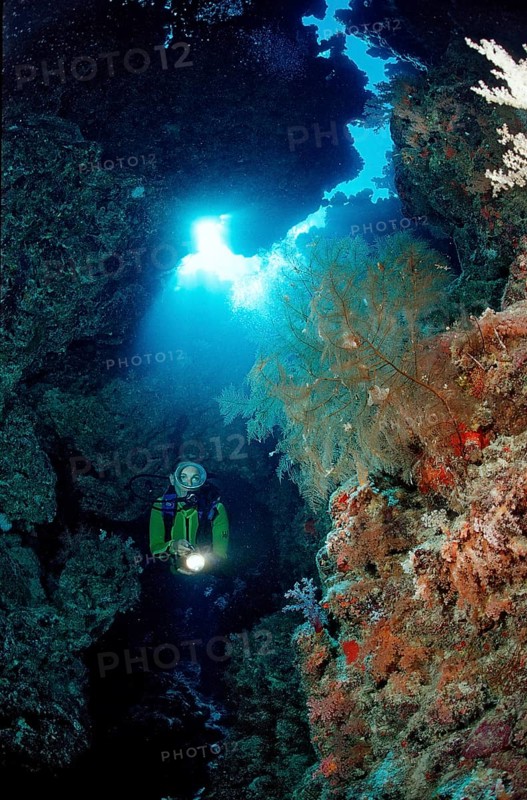 Diver in underwater cave, Egypt, Zabargad, Zabarghad, Red Sea, Africa