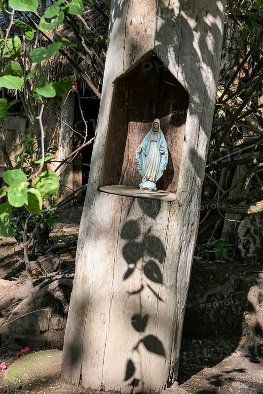 Madonna-Statue standing in a carved niche of a tree stump, Pantanal Wetlands, Mato Grosso, Brazil, South America