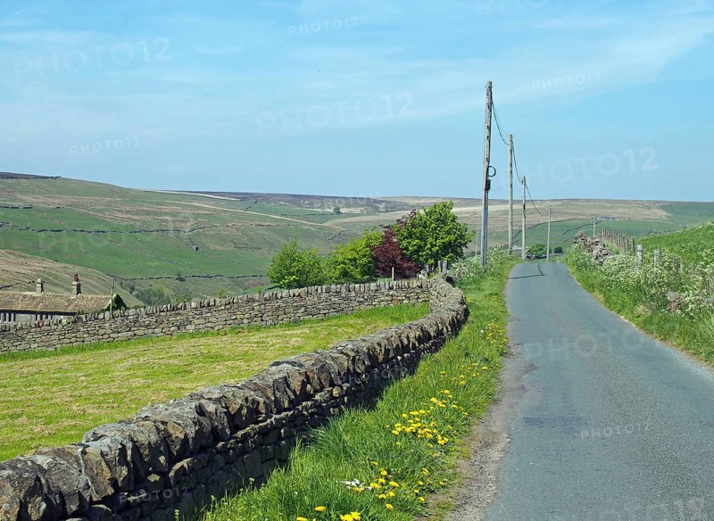 A narrow country lane surrounded by dy stone walls in a sunlit rural hilly landscape on the old howarth road in calderdale west yorkshire