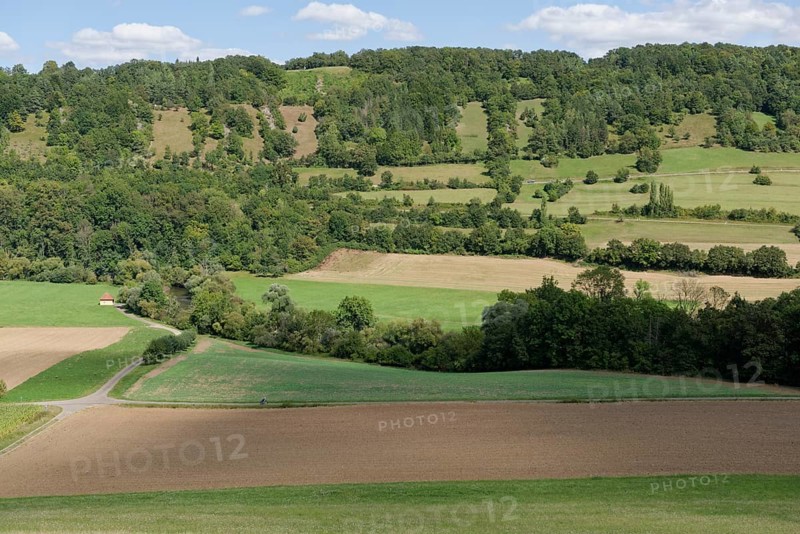 Jagst valley near Mulfingen, August, summer, Jagst slope, river slope, Jagst valley slope, Jagst, Hohenlohe, Heilbronn-Franken, Baden-Württemberg, Germany, Europe