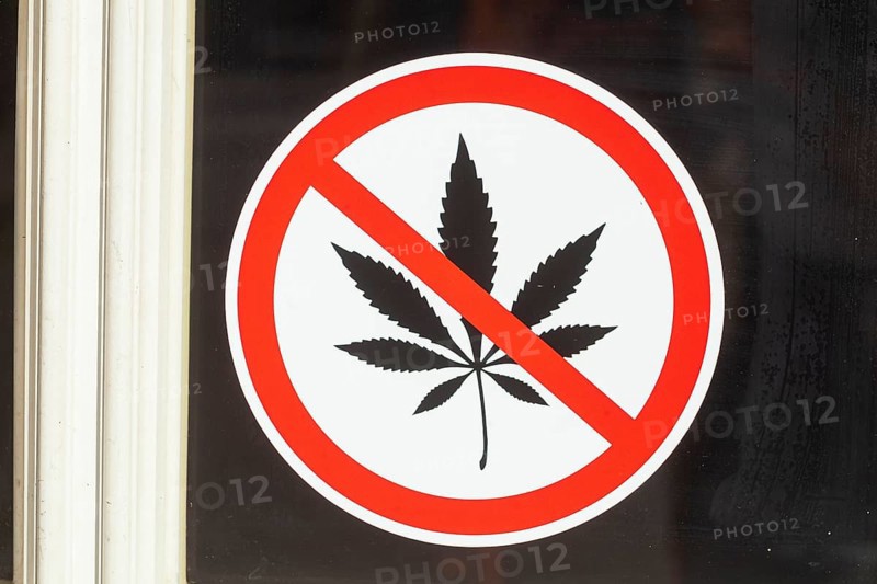 Sign smoking marijuana joints (cannabis sativa) prohibited on a pub window, cannabis prohibition, Hamburg, Germany, Europe