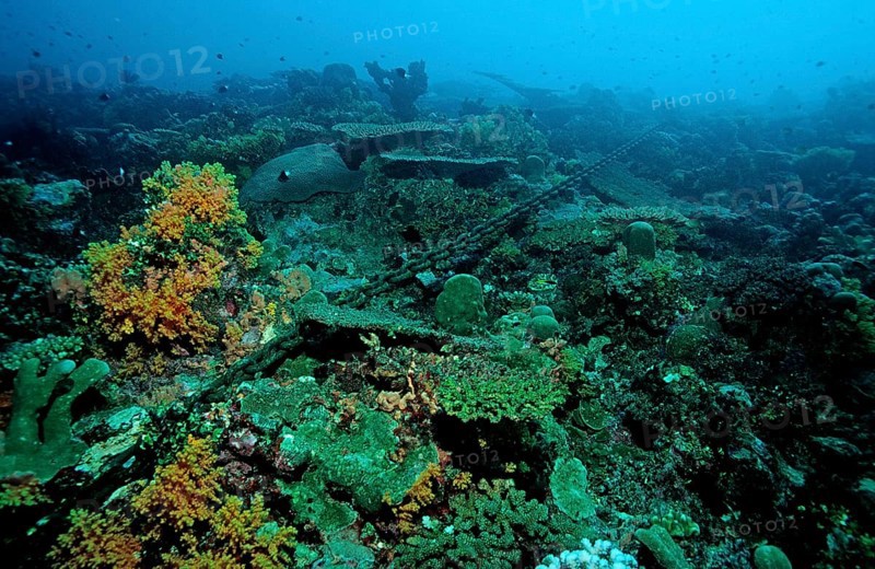 Anchor chain destroys coral reef, Papua New Guinea, Pacific Ocean, Oceania