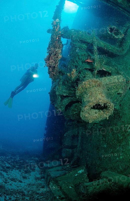 Diver in the Patricia shipwreck, Parapriacanthus ransonneti, Punta Cana, Caribbean Sea, Dominican Republic, Central America