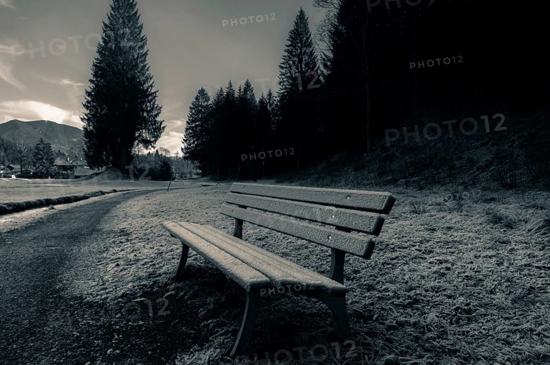 Wooden bench on the side of an alley, near the forest, covered by December frost in Ehrwald, Austria, Europe