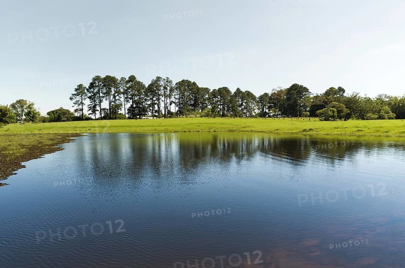 Landscape of the gaucho mountain range, araucarias, mountains and rivers. City of Bom Jesus, São José dos Ausentes