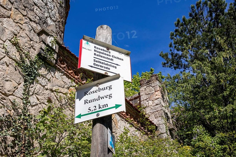 Roseburg Harz near Ballenstedt Rieder