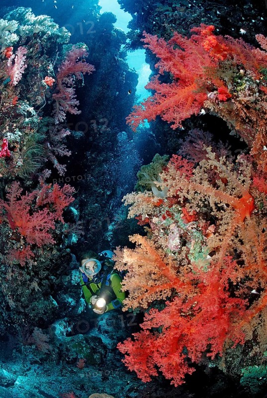 Diver in underwater cave, Egypt, Zabargad, Zabarghad, Red Sea, Africa
