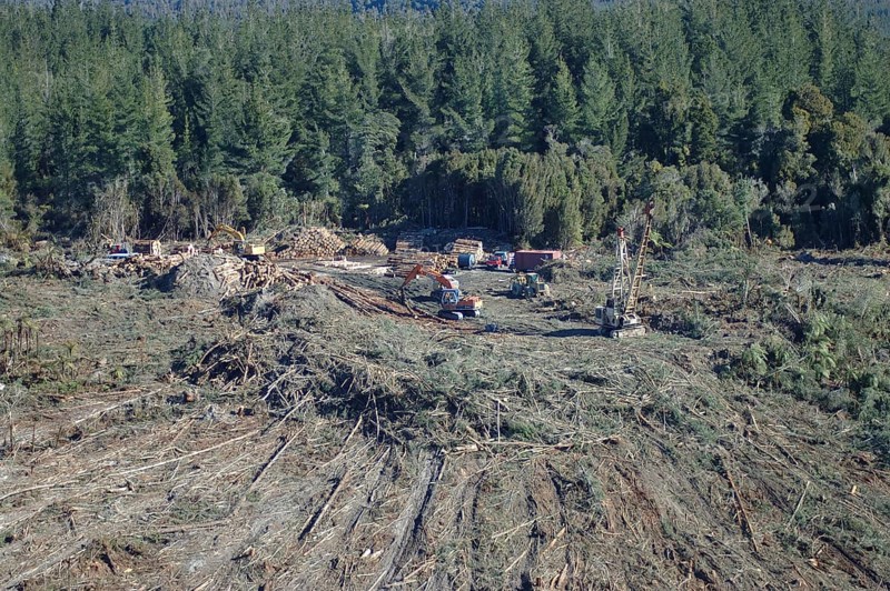 Harvesting Pinus radiata on hill top using a hauler (at right) and diggers (at left) to load tree trunks on trucks (driving out back left) . Typical exotic forestry operation, Westland, South Island, New Zealand, Oceania