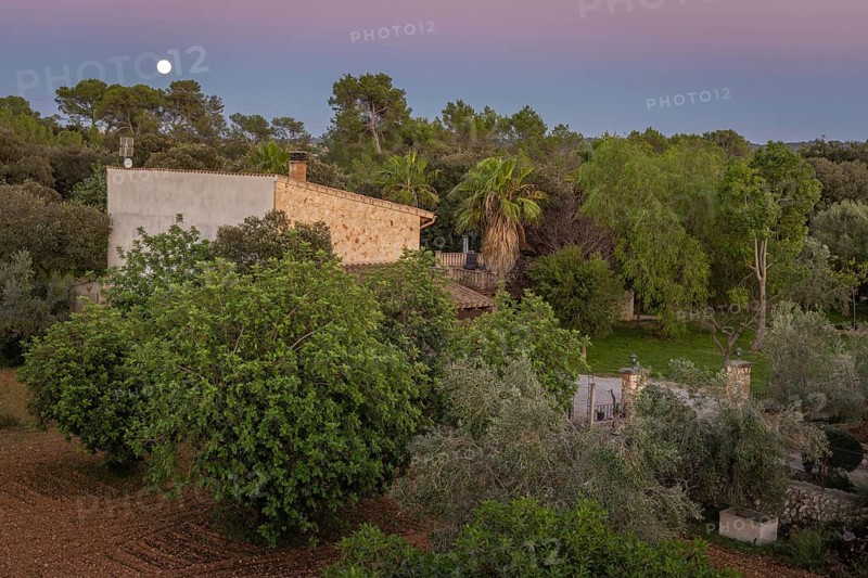 Garden in the hinterland of Majorca, full moon behind, Llubi, Majorca, Spain, Europe