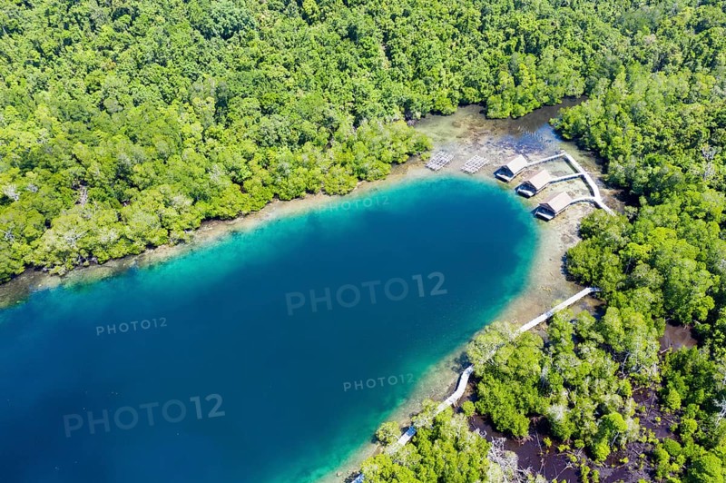 Aerial view of Janggelo Island, Raja Ampat, West Papua, Indonesia, Asia