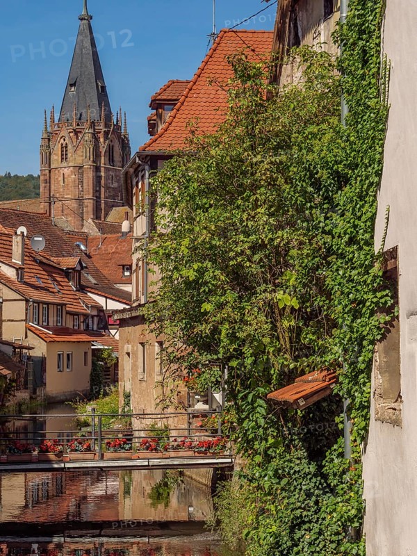Historic town with church tower, surrounded by houses, a river and lush ivy, Weissenburg, Alsace, France, Europe
