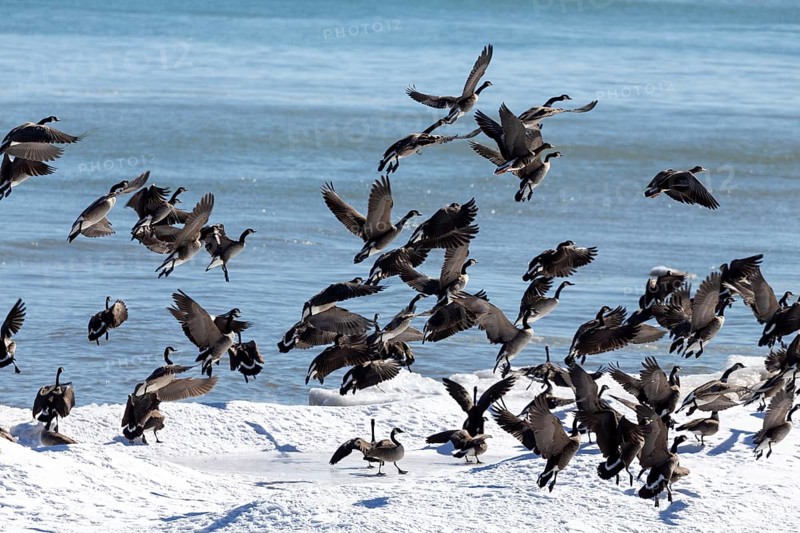 Natural scene from shore of lake Michigan