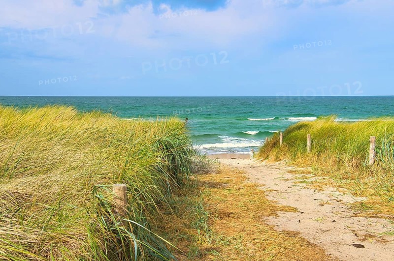 Dune crossing on the beach at Zingst. Dune grass, white sand and the blue Baltic Sea. Landscape shot from the coast