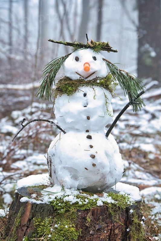 Snowman on a tree stump with a carrot for a nose, buttons, a branch for arms and pine needles for hair. In the snow-covered forest