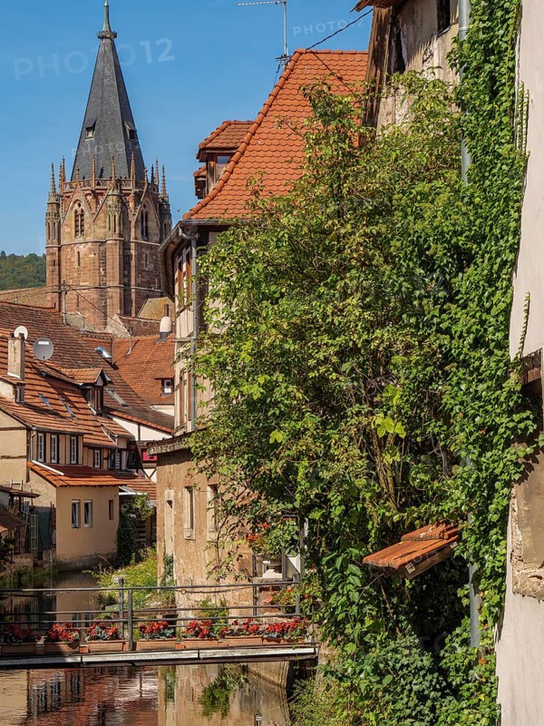 View of a historic town with church tower, river and houses overgrown with ivy, Weissenburg, Alsace, France, Europe