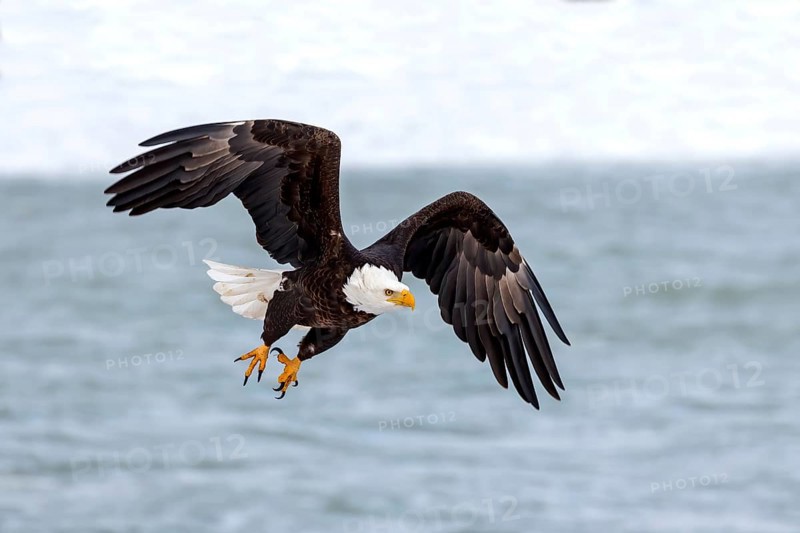 Natural scene from shore of lake Michigan