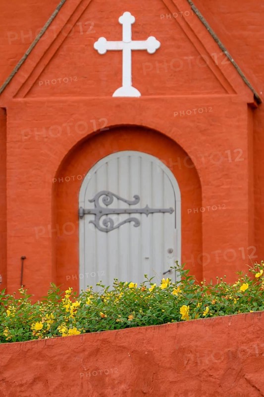 Detail of an orange-coloured church building with a white cross and Tor tor, yellow flowers in the foreground, svaneke, bornholm, baltic sea, denmark, skankandinavia