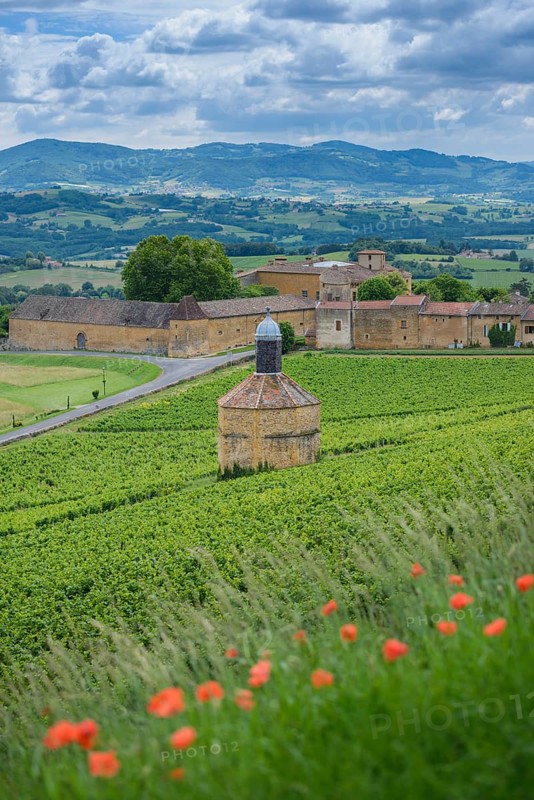 Bagnols village and landscape, Beaujolais, France, Europe