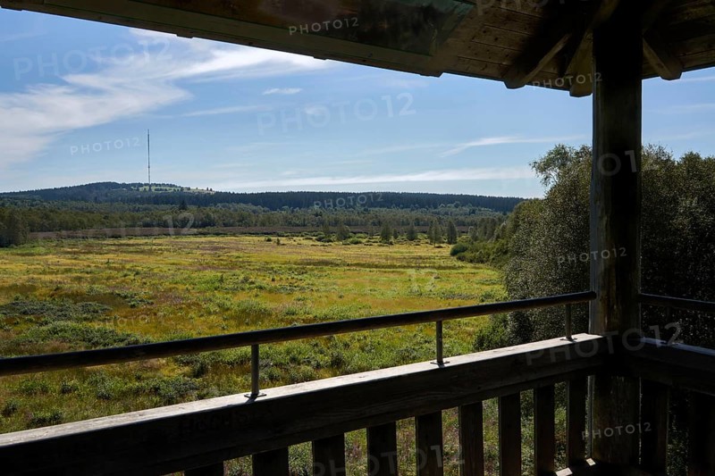 Rotes Moor, view from the observation tower of the former peat extraction area, now renaturalised area, Rhön Biosphere Reserve, Hesse, Germany, Europe
