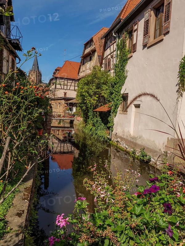 A picturesque village with a river, flowers along the banks and reflective old buildings, Weissenburg, Alsace, France, Europe