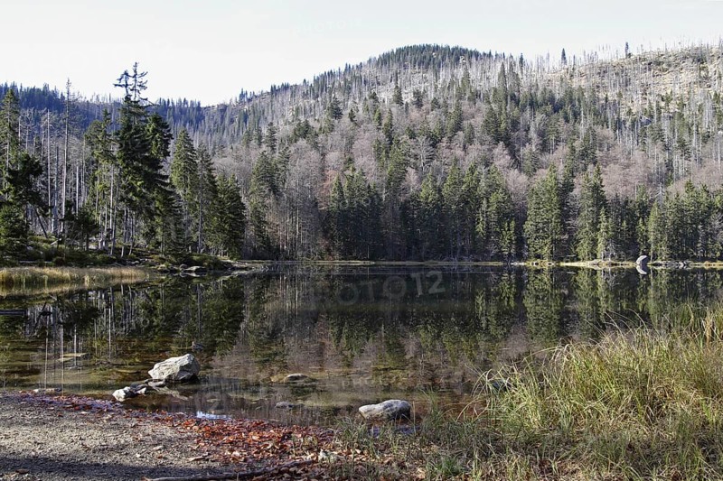 Rachelsee, Bavarian Forest, lake in bavarian forest