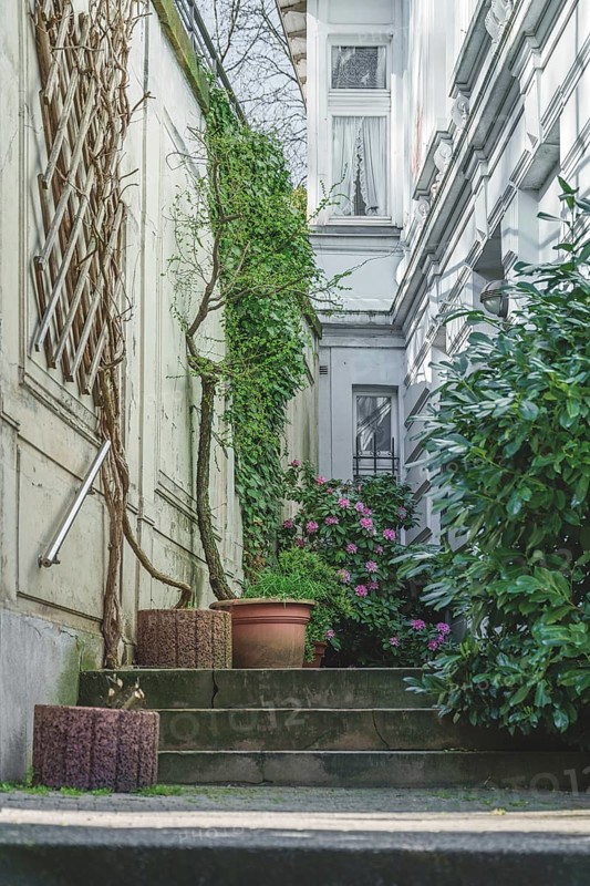 Narrow courtyard with a few steps, surrounded by green foliage and a white building in the background, Nützenberger Straße, Brill, Wuppertal, North Rhine-Westphalia, Germany, Europe