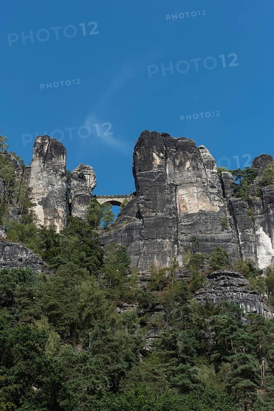 View from the Elbe up to the Bastei Bridge in Saxon Switzerland
