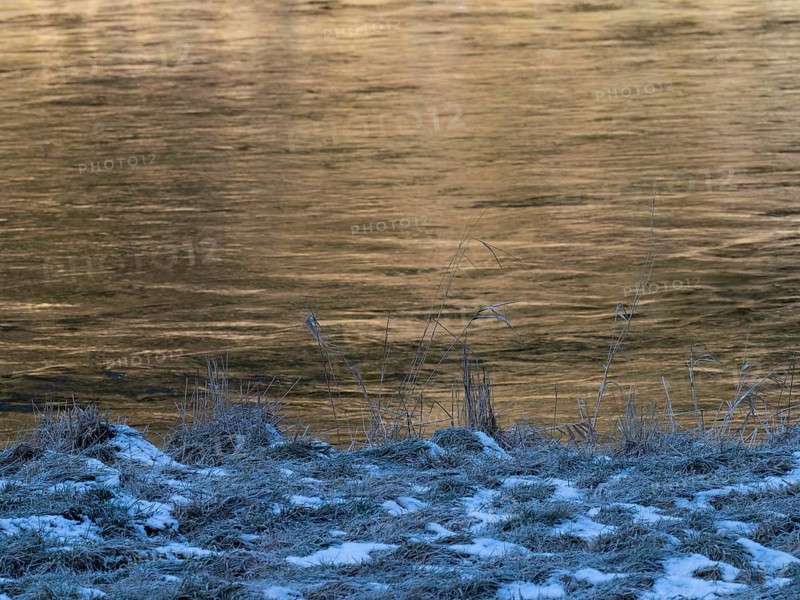 Riverbank of the Saale