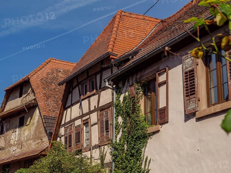 A row of half-timbered houses with red roofs and plants on the facades, Weissenburg, Alsace, France, Europe