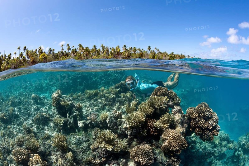 Snorkelling in French Polynesia, Apataki Atoll, Tuamotu Archipelago, French Polynesia, Oceania