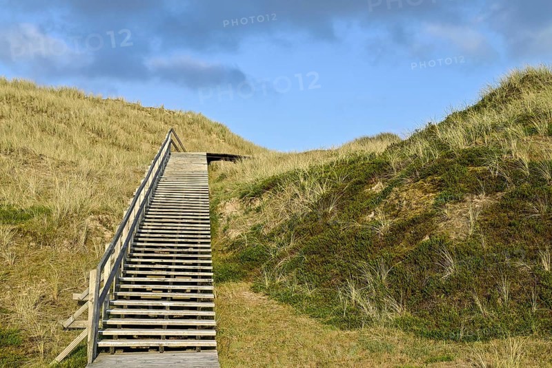 Boardwalk in the Amrum dunes nature reserve near Norddorf, Amrum, North Frisian Island, North Frisia, Schleswig-Holstein, Germany, Europe
