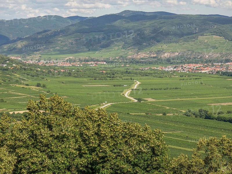 Green landscape with extensive fields and hilly surroundings, Dürnstein, Wachau, Danube, Austria, Europe