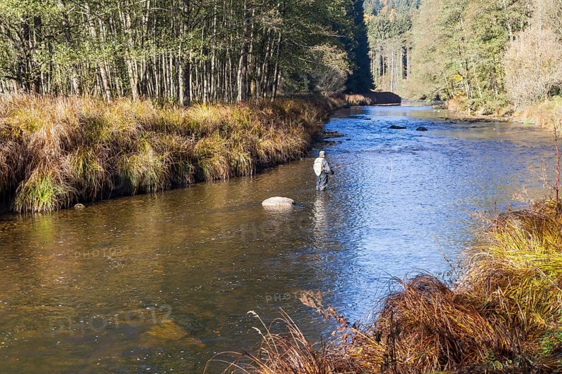 Fluss Ilz im Bayerischen Wald, Fluss Ilz im Bayerischen Wald