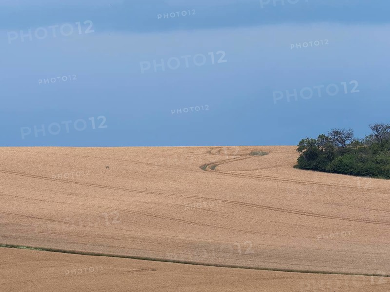 Stormy atmosphere over the grain fields in the Thuringian Basin