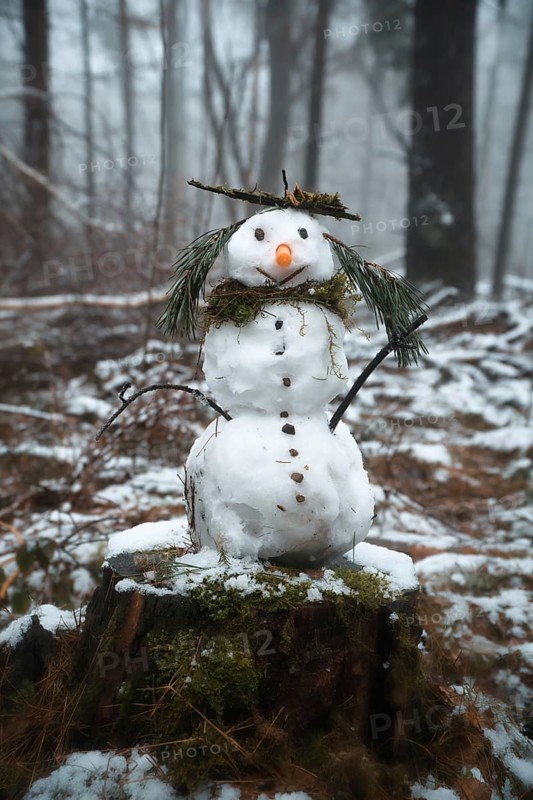 Snowman on a tree stump with a carrot for a nose, buttons, a branch for arms and pine needles for hair. In the snow-covered forest