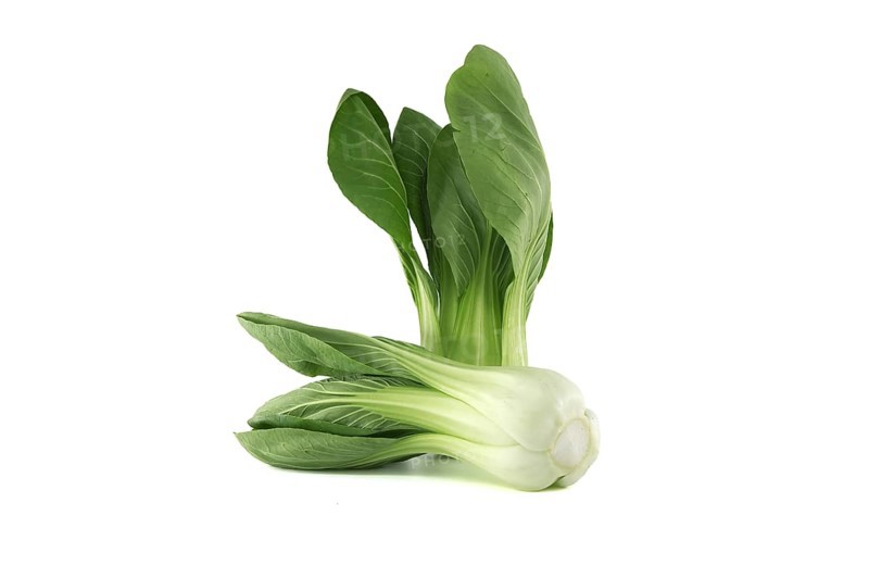 Pak choi, also known as bok choi or pok choi type of Chinese cabbage isolated on white background