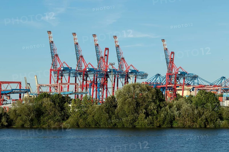 View from Finkenwerder of green vegetation on the banks of the Elbe, with cranes and container gantry cranes behind at the Burchardkai terminal in the port of Hamburg, Germany, Europe