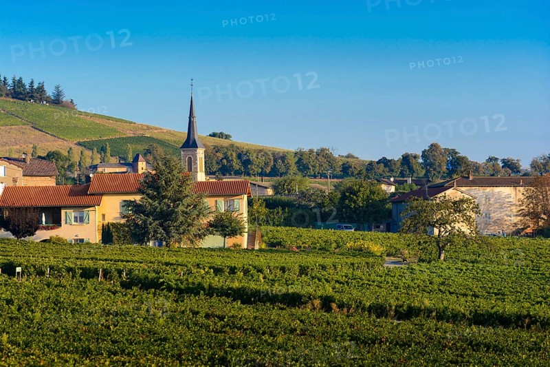 Village of Odenas at sunrise, Beaujolais land, France, Europe